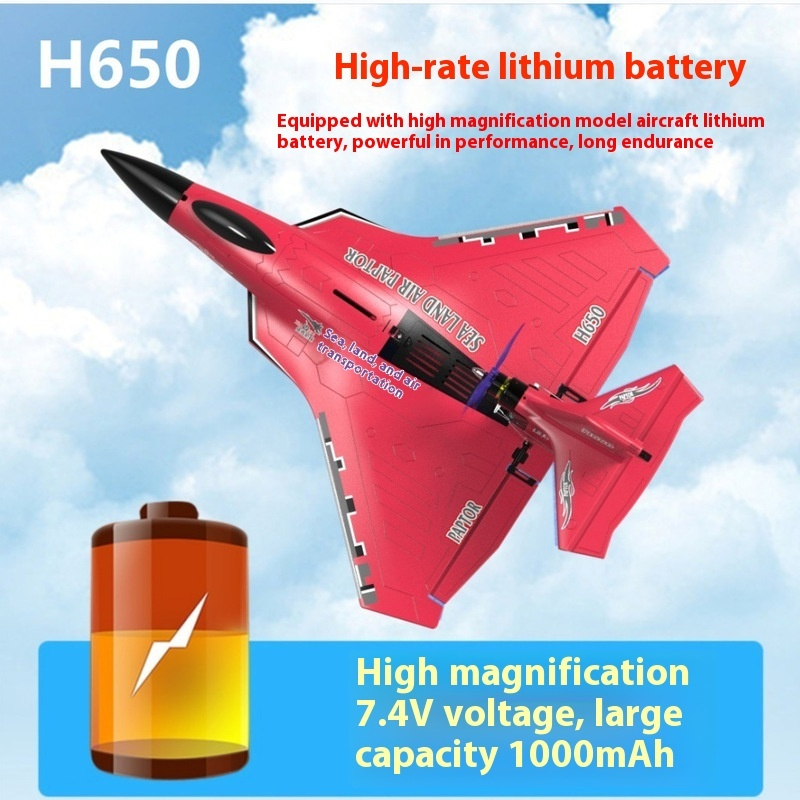 H650 Big Size Rc Plane Water P - Rc Wing Glider ulasan dan harga